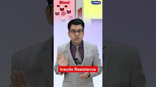 Can Diabetes be Reversed  Diabexy [upl. by Irok]