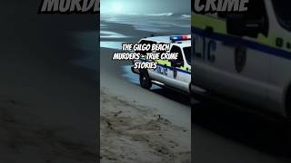 The Gilgo Beach Murders  True Crime Stories truecrimeshorts truecrimestories bestcrimestories [upl. by Jere624]