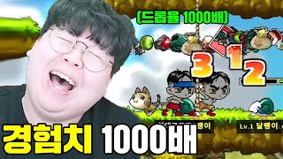 하다하다 경험치 1000배 드롭율 1000배 메이플스토리 서버 ㅋㅋㅋ 테스터훈 [upl. by Amr]