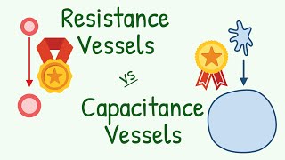 Why EXACTLY the Arteries are called Resistance Vessel And Vains Capacitance Vessel [upl. by Ellerihs]