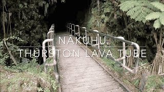 Nāhuku  Thurston Lava Tube  Hawaii Volcanoes  National Park Hawaii  4k [upl. by Naeloj]