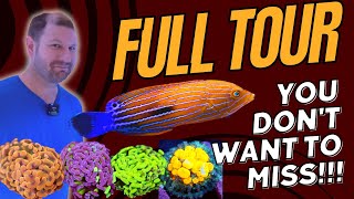 Corals Clams Fish amp More  Fully Guided Tour Aussie LFS [upl. by Ehtyaf780]