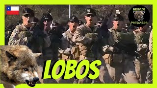 ✅ MILITAR ESPAÑOL reacciona a PARADA MILITAR de CHILE  😲 [upl. by Enyawd]