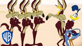 Looney Tunes  How Many Coyotes Does It Take to Catch a Road Runner  wbkids​ [upl. by Matthews]