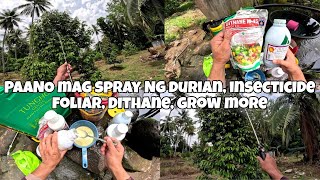 PAANO MAG SPRAY NG DURIAN PUYAT VARIETY [upl. by Ecirtaed]