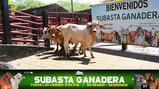 Lote 92 Subasta 15 de Noviembre de 2024 [upl. by Valentin]