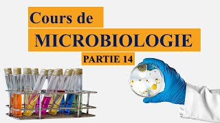 Cours de microbiologie partie 14  métabolisme et nutrition bactériens les besoins élémentaires [upl. by Hannaoj449]