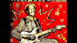 Hound Dog Taylor  Sitting Here Alone [upl. by Norod651]