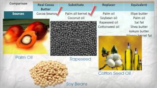 Cocoa Butter Alternatives [upl. by Carly]