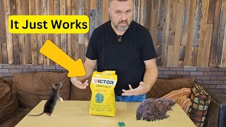 Say Goodbye to Rodents Victor M925 Rodent Killer Review – A Homestead MustHave  Victor M925 [upl. by Anid]