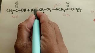 Isotopic Labelling  Investigation of Reaction mechanism  OrganicII UOS six semester [upl. by Etirugram704]