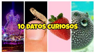 10 Datos Curiosos QUE NO CONOCÍAS 02 [upl. by Layor]