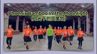 Phoenix Bamboo In The Moonlight 月光下的凤尾竹  Line Dance Penny Tan MY  September 2024 [upl. by Coh]