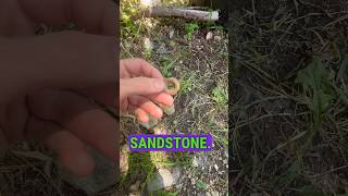 Strange rock in my backyard 😁 geology rockhounding exploration [upl. by Laundes]