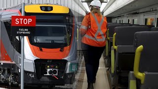 A Look Inside NSWs New Regional Trains XPT Replacement [upl. by Sharity]