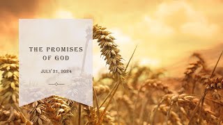 The Promises of God [upl. by Sesom620]