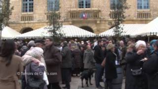 Fête de la truffe à Sarlat la dégustation de Croustous [upl. by Ormiston]