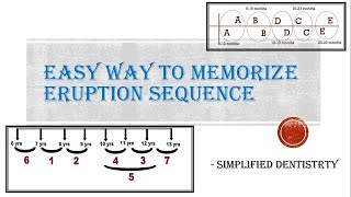 Eruption Sequence of Primary and Permanent Teeth [upl. by Fremont144]