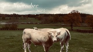 Novembre 2023 [upl. by Dyl415]