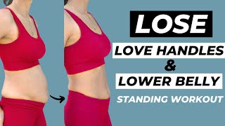 15 MIN LOVE HANDLES AND LOWER BELLY FAT WORKOUT Standing Only  No Equipment [upl. by Enirhtac]