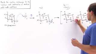 Condensation and Hydrolysis of Sugars [upl. by Aramak]