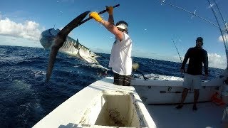 Morehead City NC best wahoo fishing on the Crystal Coast [upl. by Lasorella]