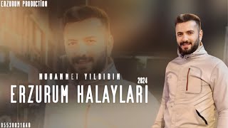 Muhammet Yıldırım  Erzurum Halayları 2024  Erzurum Production • 2024 [upl. by Ayojal]