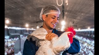 24FOR24  VLOG 123  شكون سبق البيضة اولا دجاجة ؟  THE CHICKEN OR THE EGG  Part 1 [upl. by Bazar]