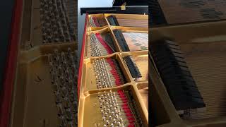 Grand Steinway amp Sons M170 [upl. by Publius444]