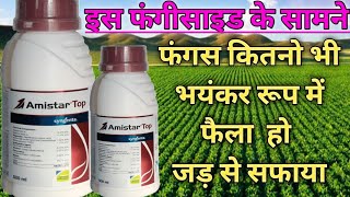 amistar top  amistar top fungicide  syngenta amistar top  amistar fungicide [upl. by Dnomsed]