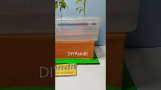 aeroponic  hydroponic working model science exhibition  shorts  diypandit [upl. by Noiram]