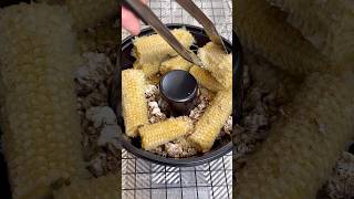 Growing Oyster Mushrooms With Corncobs 🌽🍄‍🟫 [upl. by Nairoc]