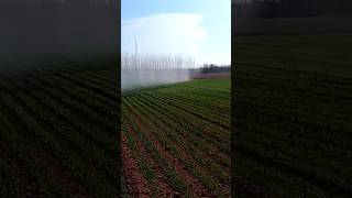 Long Range Sprinkler for Watering Plants satisfying RomFarm [upl. by Sullivan]