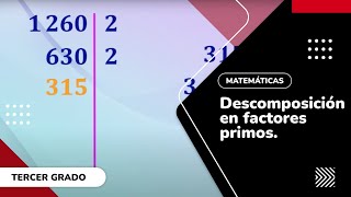 13 Descomposición en factores primos [upl. by Nuncia]