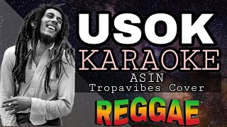 USOK  REGGAE KARAOKE VERSION  MVM KARAOKE PLAYLIST [upl. by Chelton]