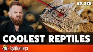 The Finest French Worms amp The Coolest Reptiles  Episode 275  Spitballers Comedy Show [upl. by Dukey]