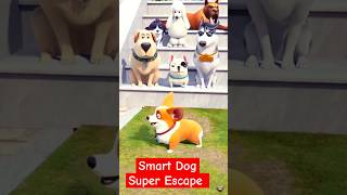 Smart Dog Super Escape [upl. by Leirbaj]