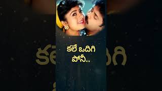 Priya ragaleNagarjunaSoundaryayt shortstrending songtelugu song [upl. by Rusticus]