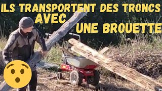 Ils transportent des TRONCS avec leur BROUETTE [upl. by Karolina]