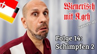 Wienerisch mit Ageh Wirklich  Folge 14 Schimpfen 2 [upl. by Seraphim]