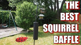 New  Improved Squirrel Baffle 2020 ONLY 10 [upl. by Aciamaj]