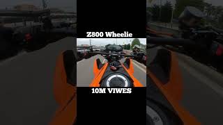 Z800 Wheelie biker rider shortfeed motovlogs shorts yotube z800 [upl. by Hayikaz767]