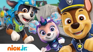 PAW Patrol All Paws on Deck to Stop Codi w Chase Rex Coral amp MORE Pups  Nick Jr [upl. by Luamaj18]