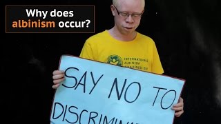 Why does albinism occur [upl. by Dwayne]