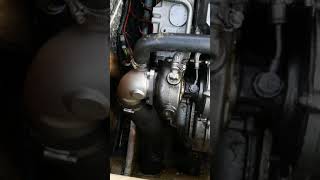 Yanmar 4lh te forst start after turbo cleaning [upl. by Toille205]