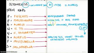 OSTEOMYELITIS  Easy Memorize Technique [upl. by Emmit392]