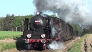 Poland PKPSteam Engines in Wolsztyn [upl. by Iniretake867]