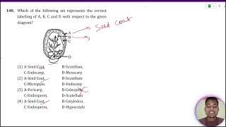 Which of the following set represents the correct labelling of AB C and D with respect to the giv [upl. by Constantin]