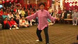 Chen Style Xinyi Hunyuan Taiji 名家欣賞：陳式心意混元太極拳13 [upl. by Panter]