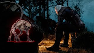 Starting a death march after a while  Witcher 3 [upl. by Portugal]